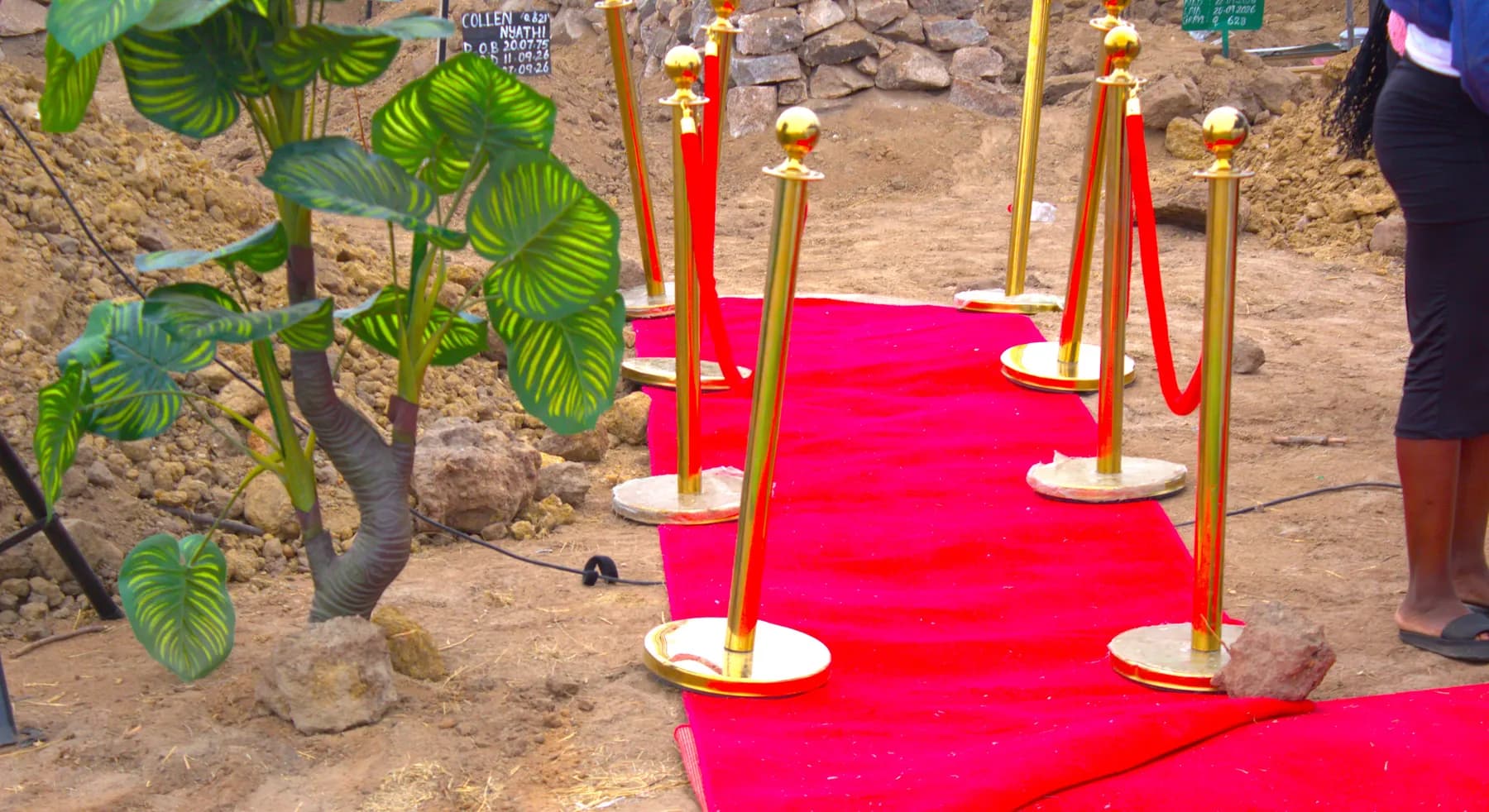 Gold rope stands and red carpet